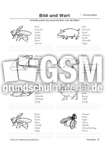 BuW Haustiere15.pdf